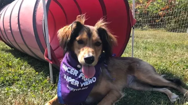 Image: PuppyUp! Dog Walk 2020