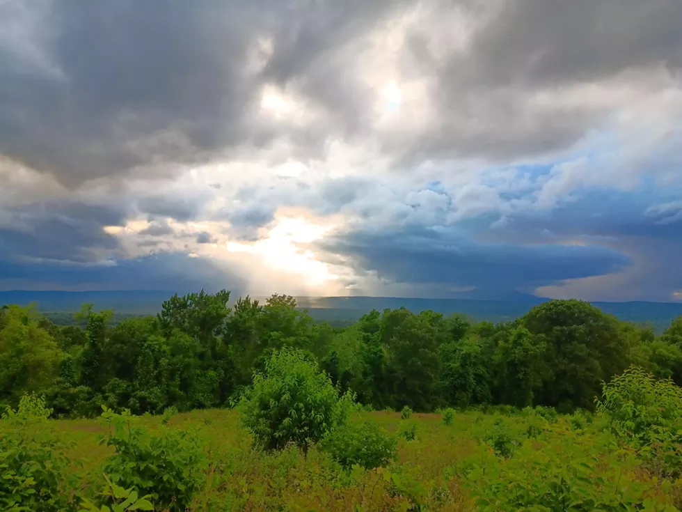The view from Slingerland Pavilion