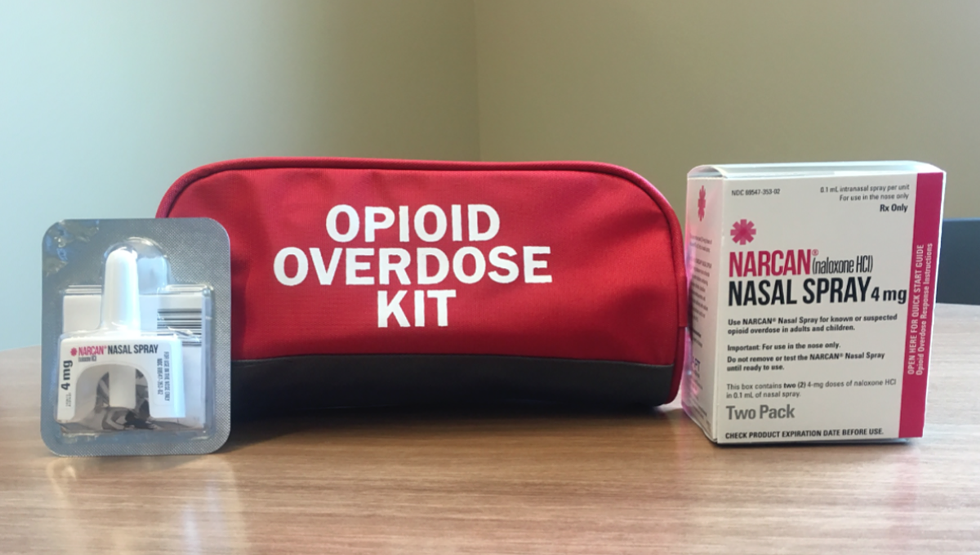 The opioid crisis has hit the Hudson Valley and Catskills particularly hard, but there are ways to help.