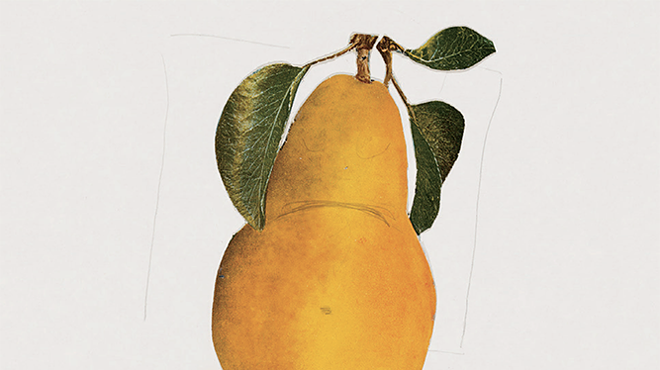 Image: "Reproductive: Health, Fertility, Agency"