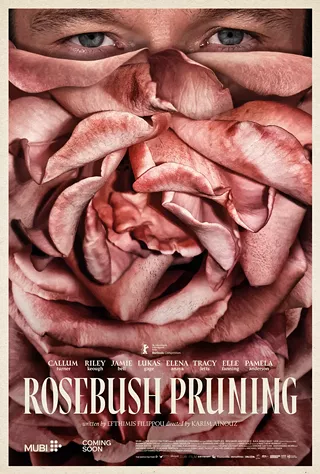 Image: Rosebush Pruning