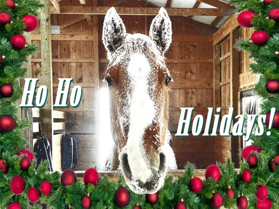 holidayopenhouse_megsnowyface_hohoholidays.webp