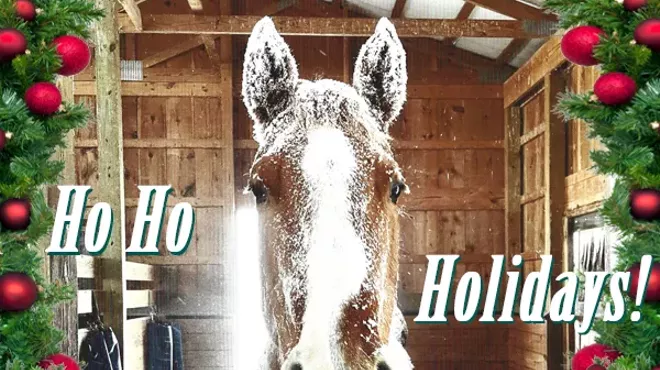 Image: Rosemary Farm Equine Sanctuary Holiday Open House