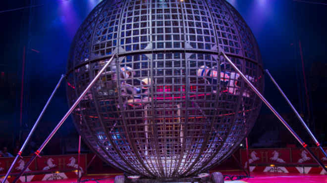 Image: Royal Hanneford Circus