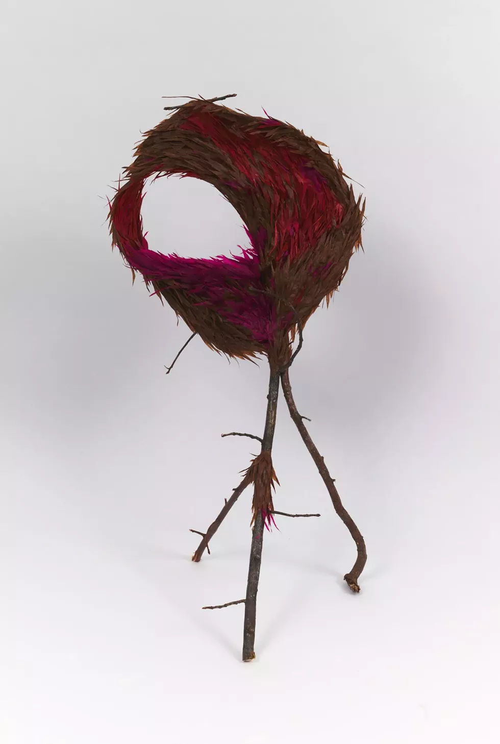 Leaves and Feathers