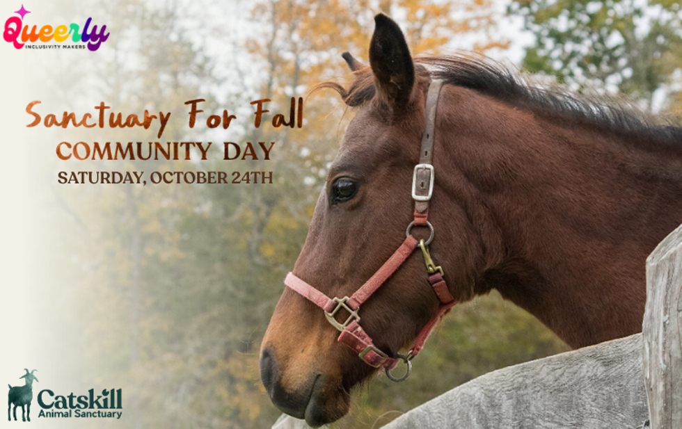 Join Queerly, Inc. and Catskill Animal Sanctuary as we celebrate the season, queer love, and rescued farmed animals! Join us in a festival of compassion and community.
