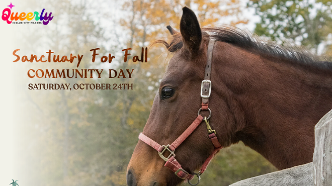 Image: Sanctuary For Fall: CAS x Queerly Community Day Event