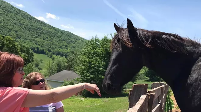 Image: Saturday Morning Tours at Rosemary Farm Sanctuary