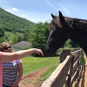 Image: Saturday Morning Tours at Rosemary Farm Sanctuary