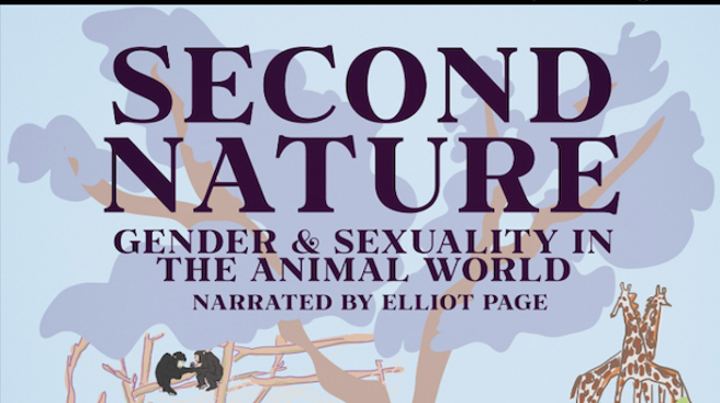 Image: Second Nature