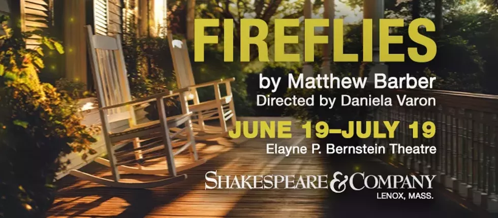 facebook_-_820x360_-_fireflies__2026_.webp
