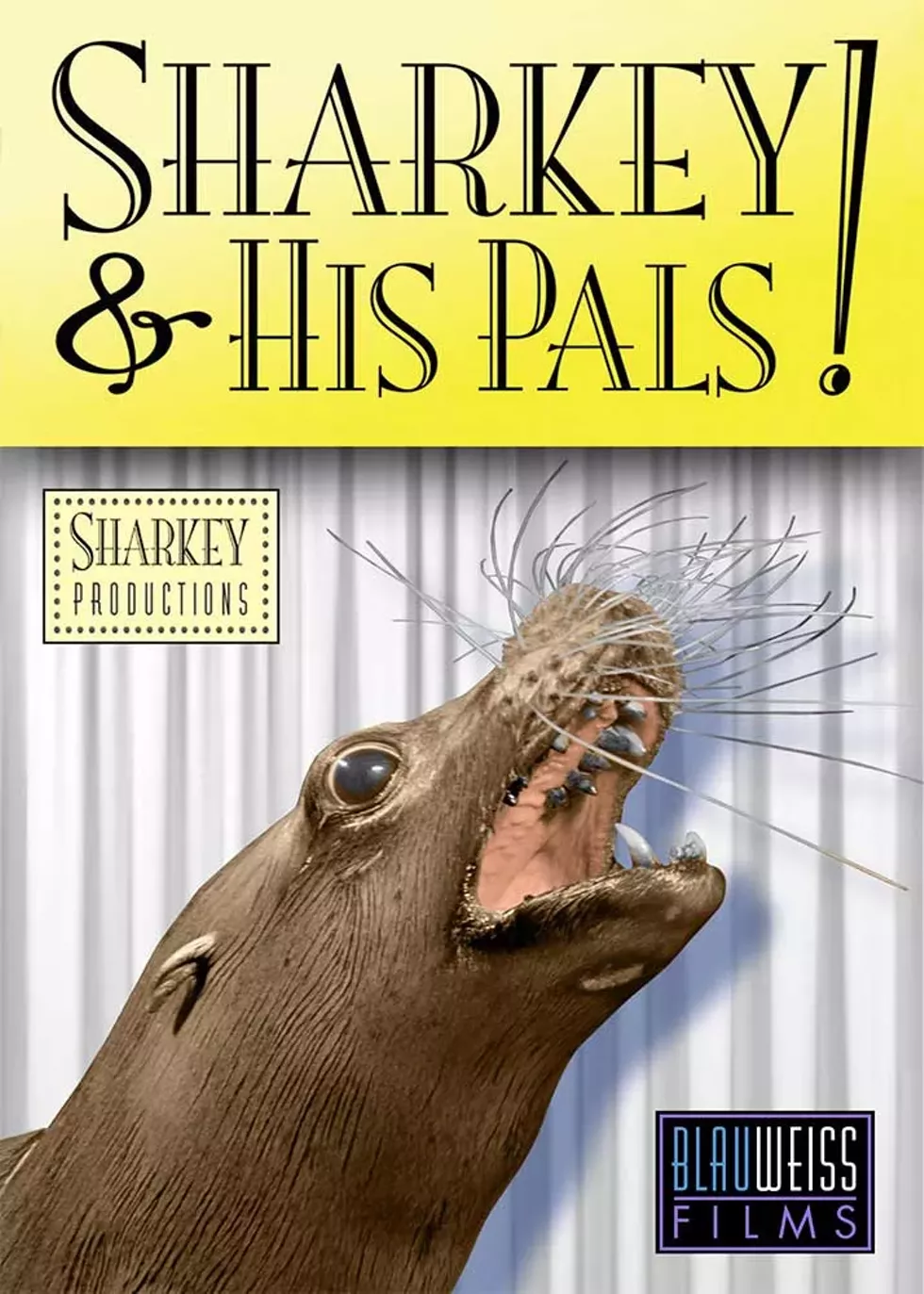 sharkey-graphic-1_orig.webp