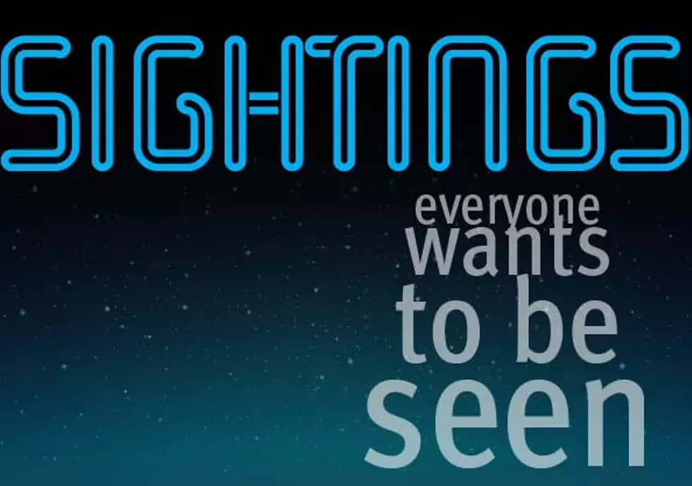 sightings_.webp