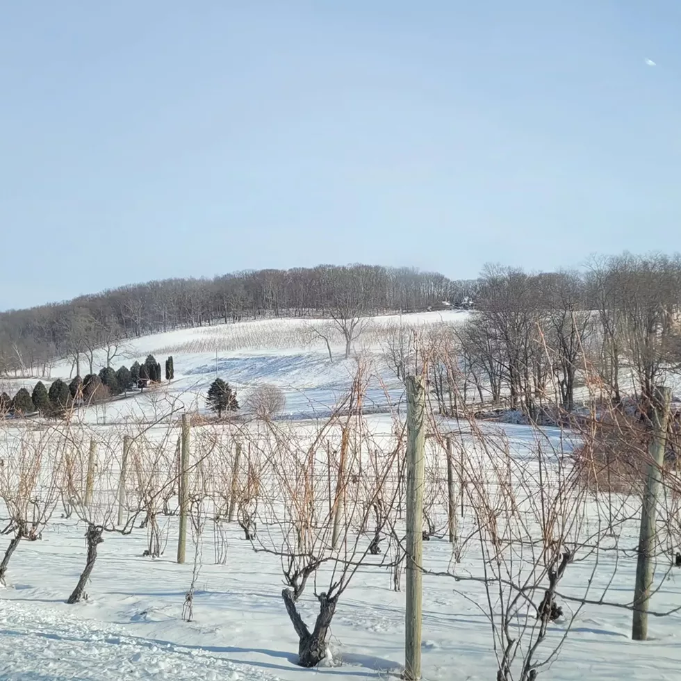 winter_millbrook_1.webp