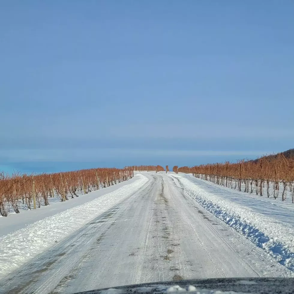 winter_millbrook.webp