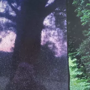 Image: "Spatial Relations: Selected Photographs of Joel Mason"