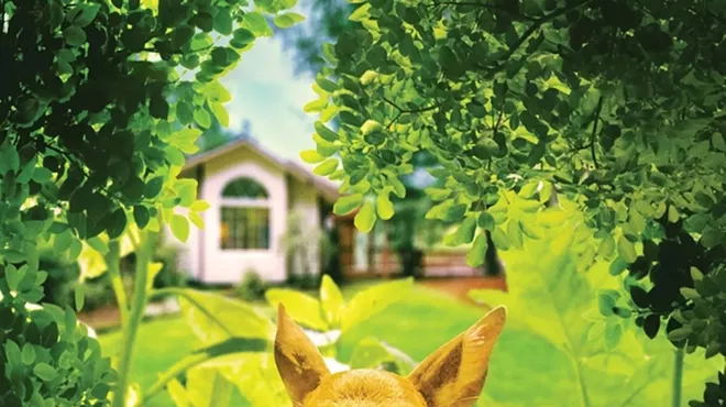 Image: Special Screening: Backyard Wilderness