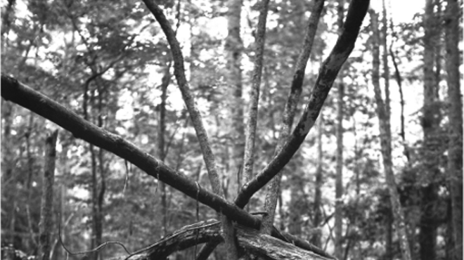 Image: "Spillover"