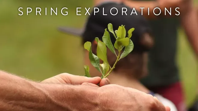 Image: Spring Explorations - Nature's Medicinal Benefits