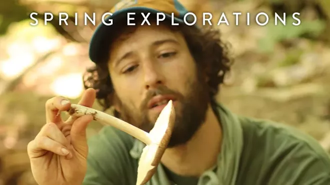 Image: Spring Explorations - The Magical World of Mushrooms