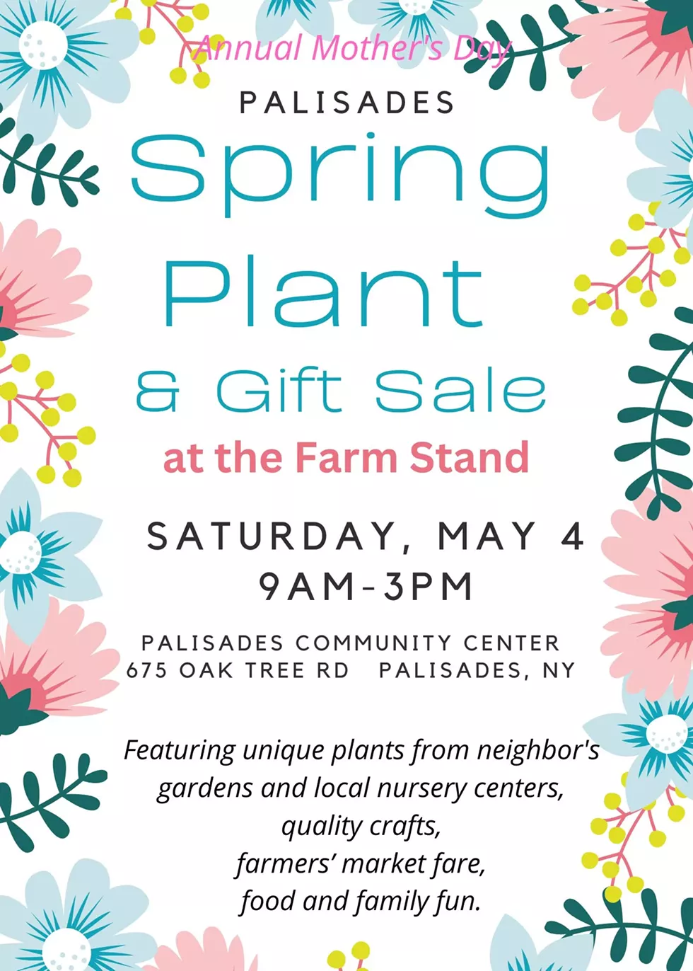 craft___plant_sale_flyer.webp