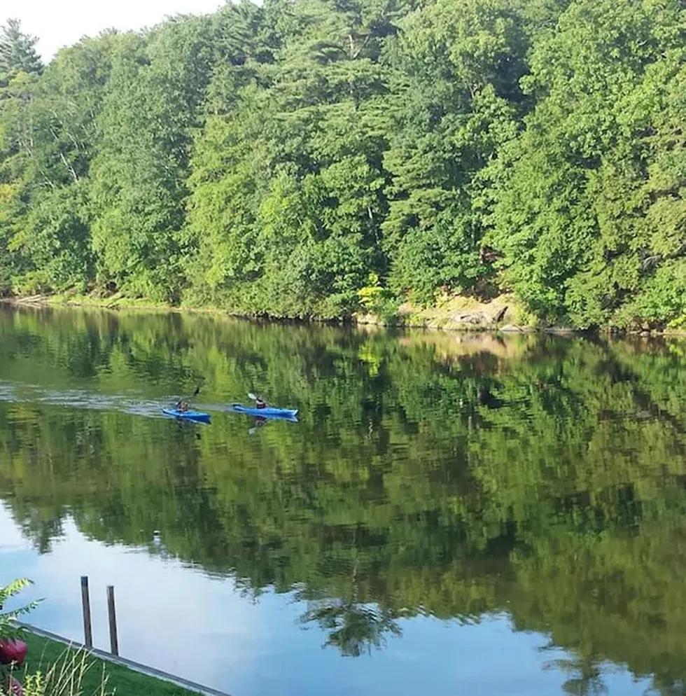 Esopus Bend Nature Preserve
