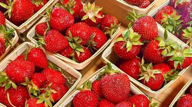 Image: Strawberry Picking