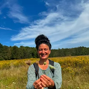 Image: Summer Foraging for Edible & Medicinal Plants
