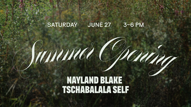 Image: Summer Opening: Nayland Blake | Tschabalala Self