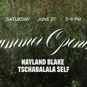 Image: Summer Opening: Nayland Blake | Tschabalala Self