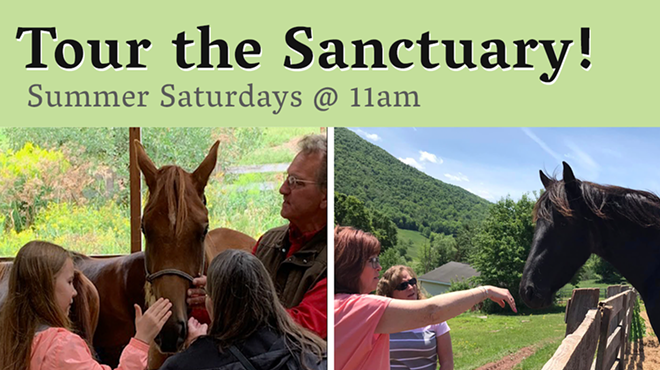 Image: Summer Saturday Tours