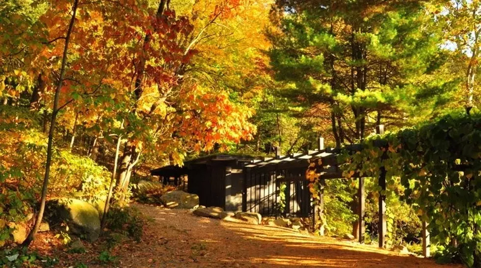 sunset_tour_2-2.webp
