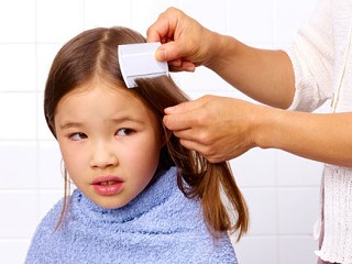 Super Lice, Coming Soon to a School Near You