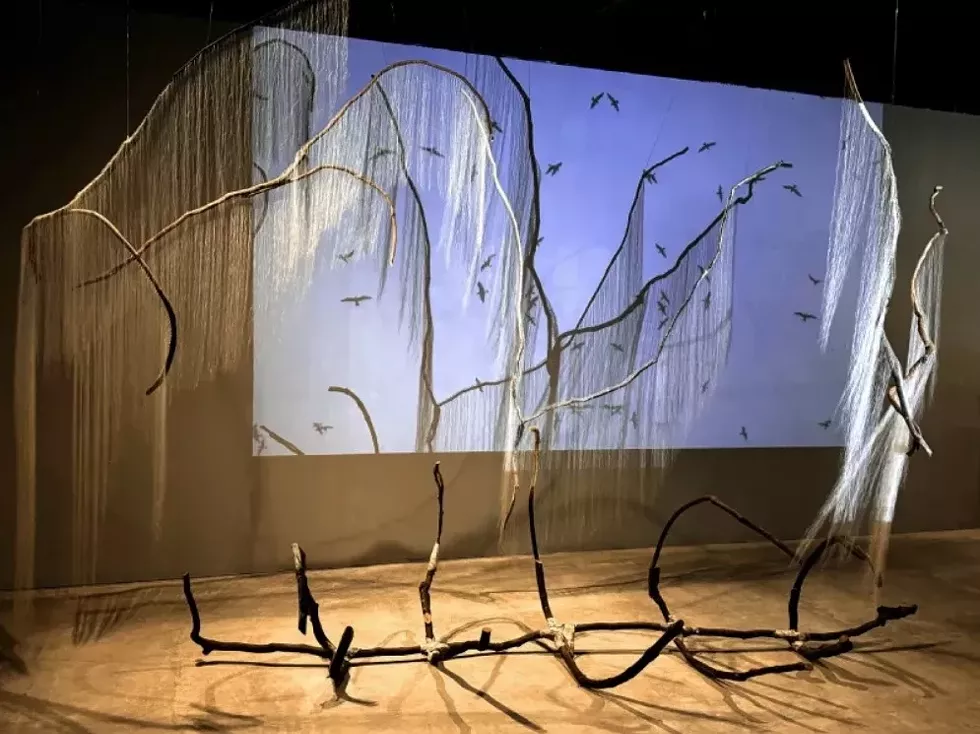 Millicent Young, Sutra for Belonging, installed at The Hyde Collection