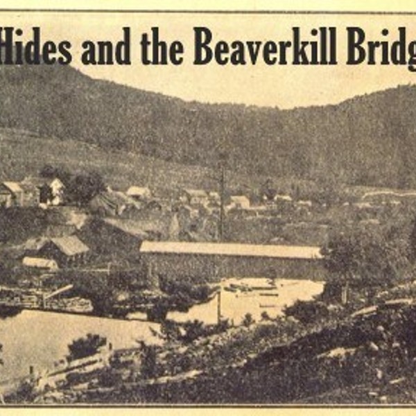Tannery Hides and the Beaverkill Bridge