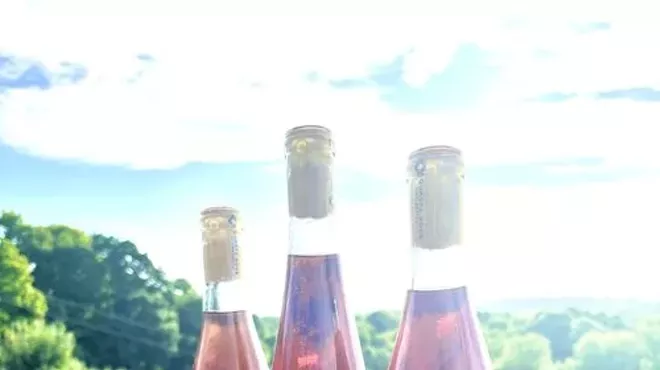 Image: Tasting and Pairing Class - Ros&eacute; Wines