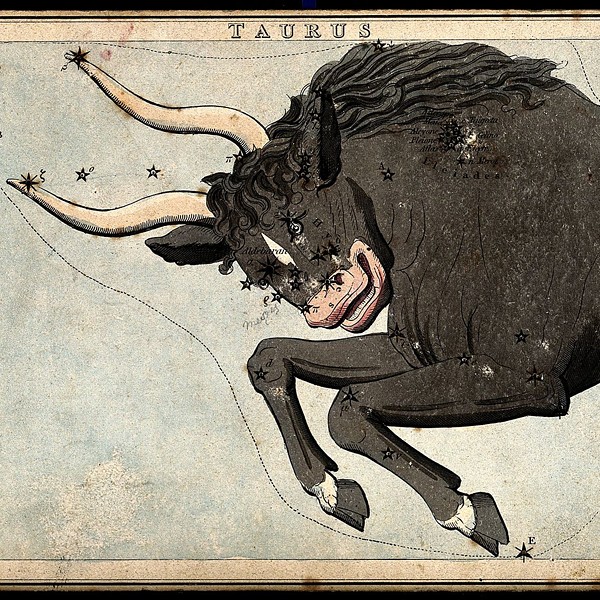 Taurus Horoscope | September 2023