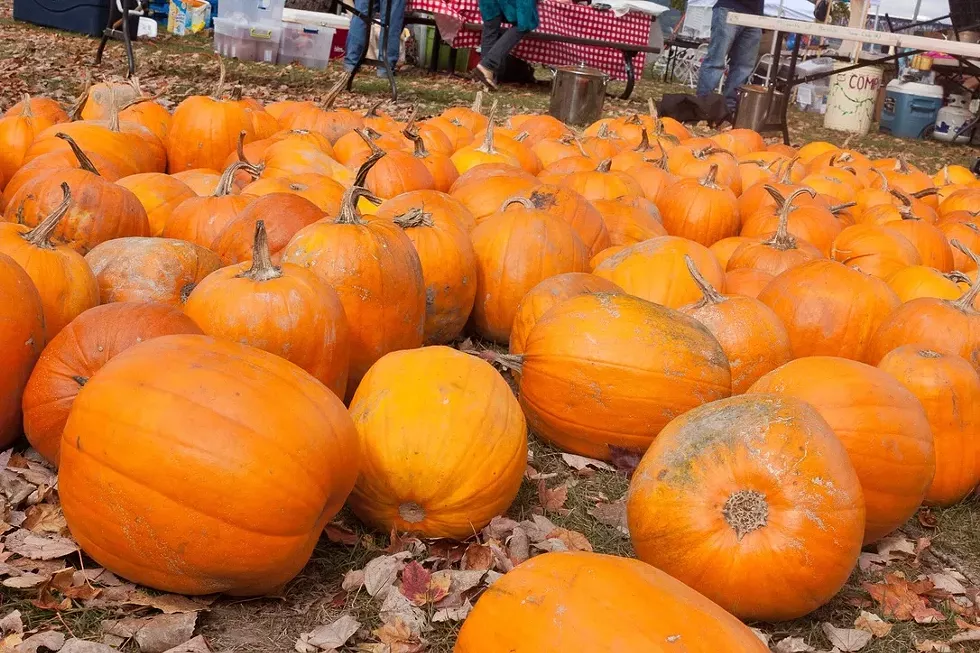 Pumpkins