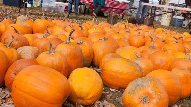 Image: The Beacon Sloop Club Annual Pumpkin Festival