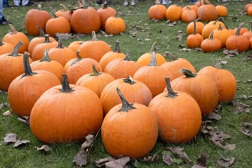 Pumpkins