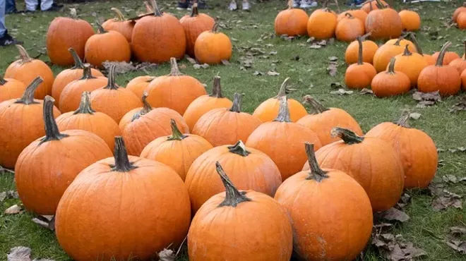 Image: The Beacon Sloop Club Pumpkin Festival