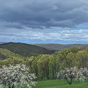 Image: "The Colors of Nature" Art Exhibit by Artist Tom Yost