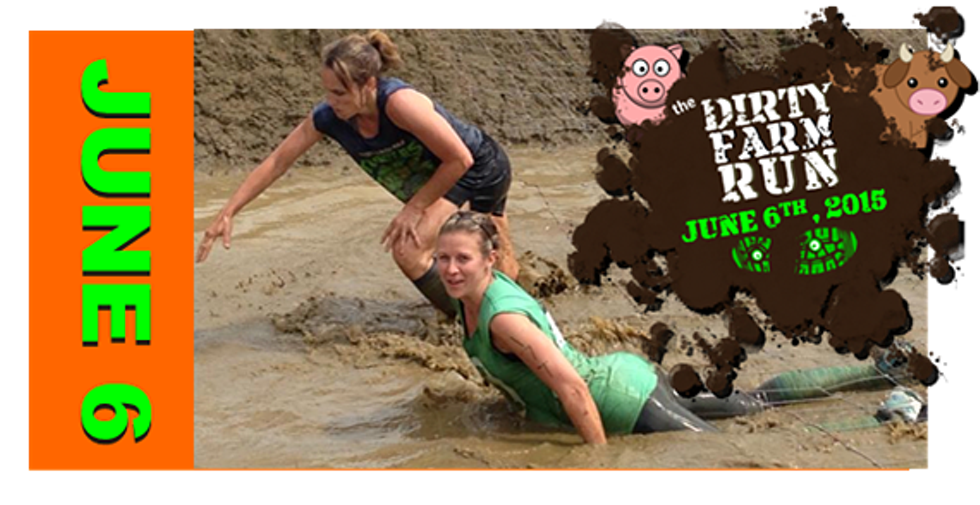 The most fun you will have at a race!