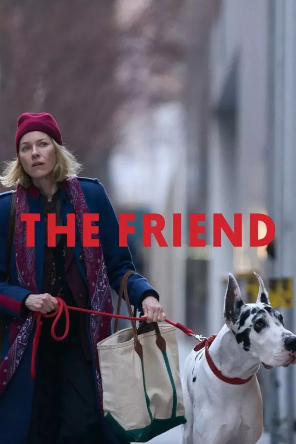 thefriend800x1200.webp