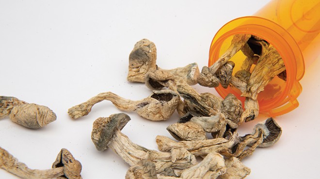 The Healing Mushroom: Will New York Legalize Psychedelics?