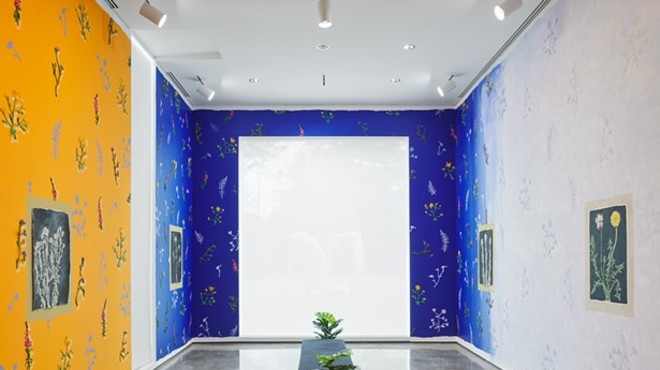 A Hudson Valley Haven for Contemporary Art: The Hessel Museum at CCS Bard