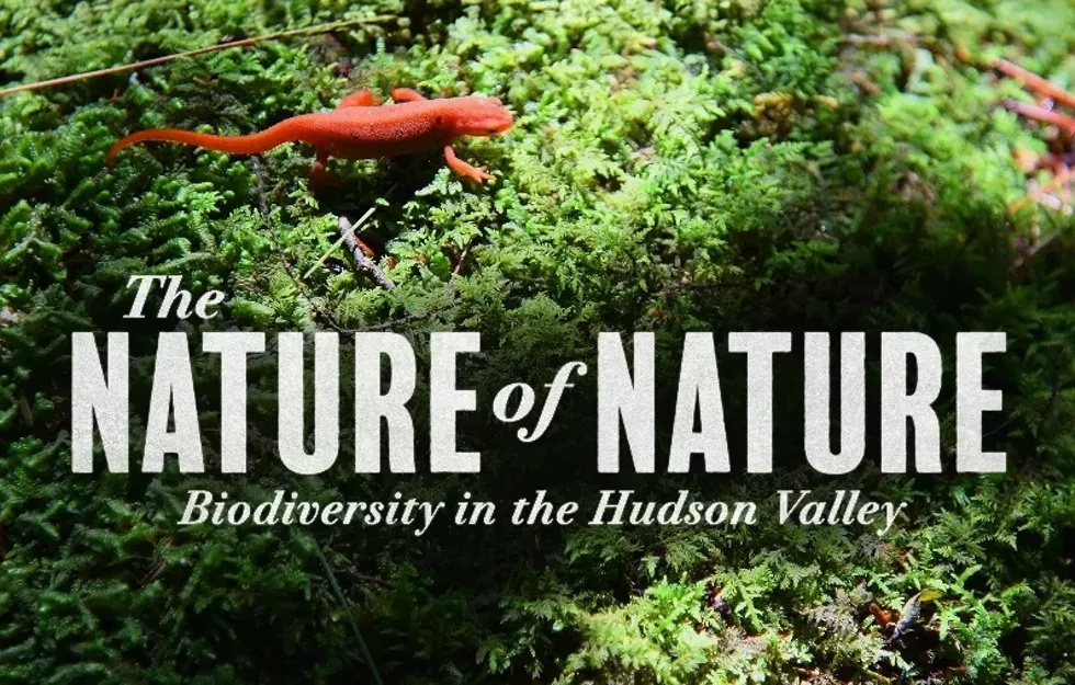 A free screening of "The Nature of Nature" will be held on November 4 at 6PM at the Historic Paramount Theatre in Middletown.