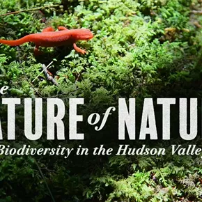 Image: "The Nature of Nature" Film Screening and Panel Discussion