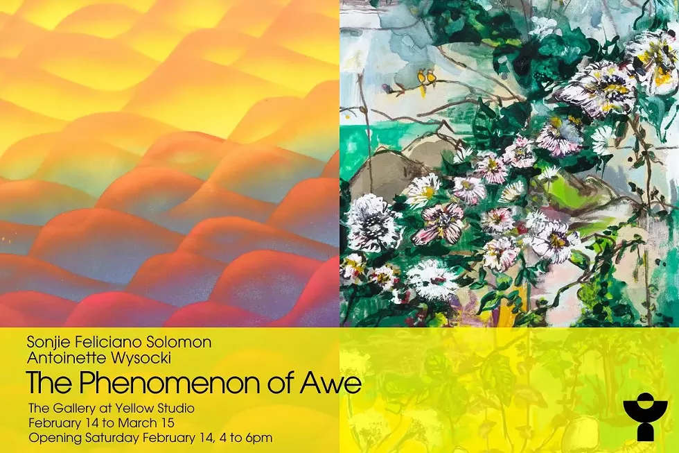 The Phenomenon of Awe exhibition graphic featuring abstract waves and garden paintings by Sonjie Feliciano Solomon and Antoinette Wysocki. Opening Feb 14, 4-6pm at Yellow Studio.