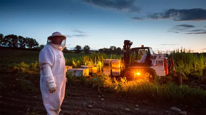 Image: The Pollinators ~ Film Screening & Panel Discussion with Honey Tasting